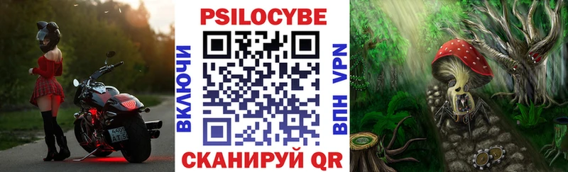 Галлюциногенные грибы прущие грибы хочу наркоту Татарск